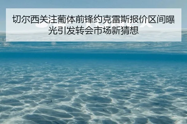 切尔西关注葡体前锋约克雷斯报价区间曝光引发转会市场新猜想 | leyu